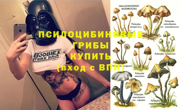 таблы Дмитров