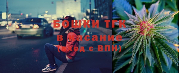 шишки Бородино