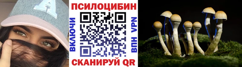 omg вход  Добрянка  Галлюциногенные грибы ЛСД  наркотики 