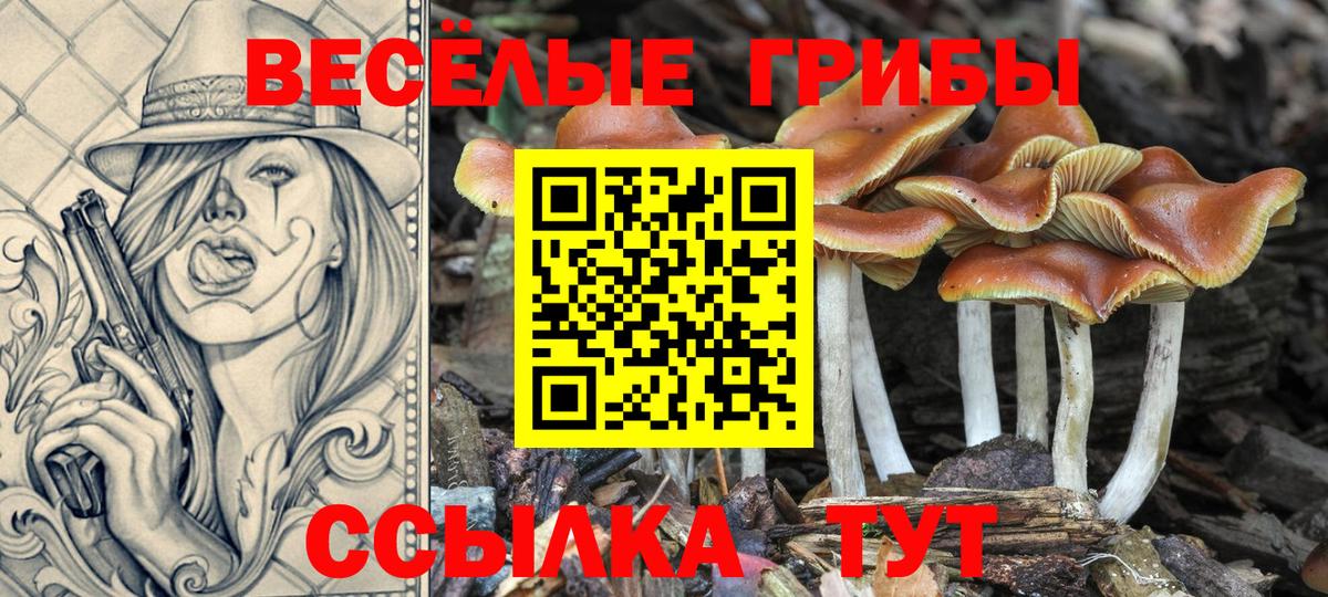 Псилоцибиновые грибы Psilocybine cubensis Добрянка