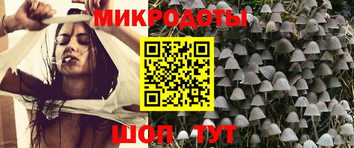 Галлюциногенные грибы Psilocybine cubensis  Добрянка  где продают   Псилоцибиновые грибы прущие грибы 