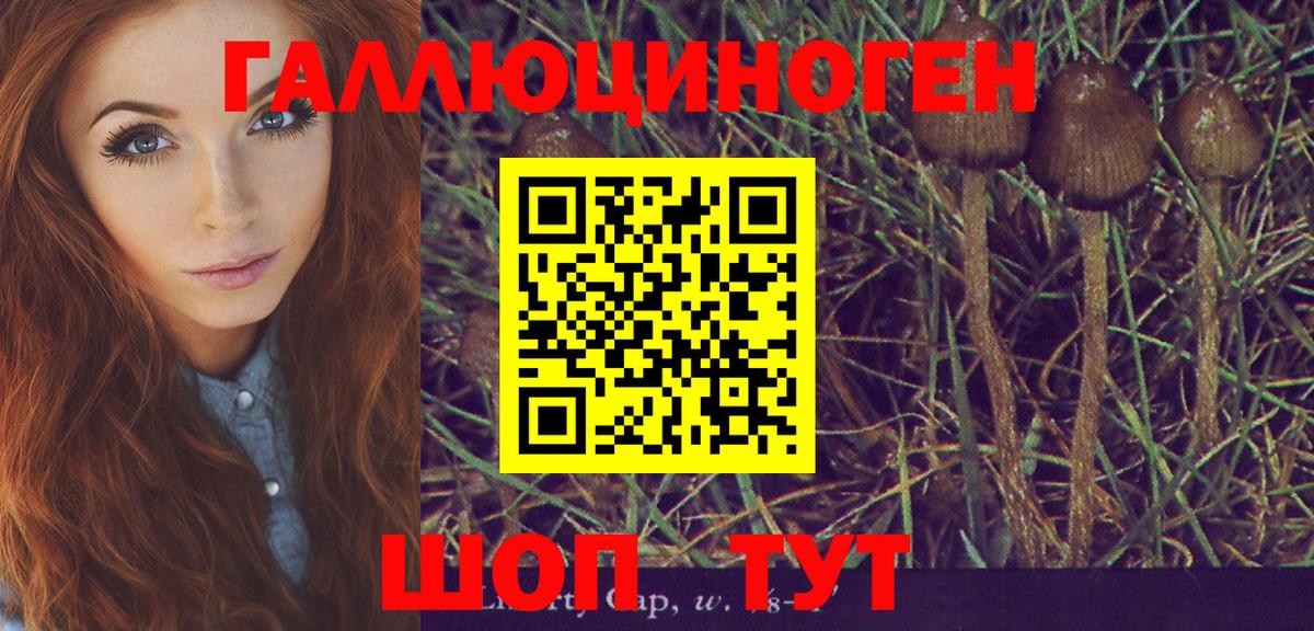 Галлюциногенные грибы MAGIC MUSHROOMS Добрянка