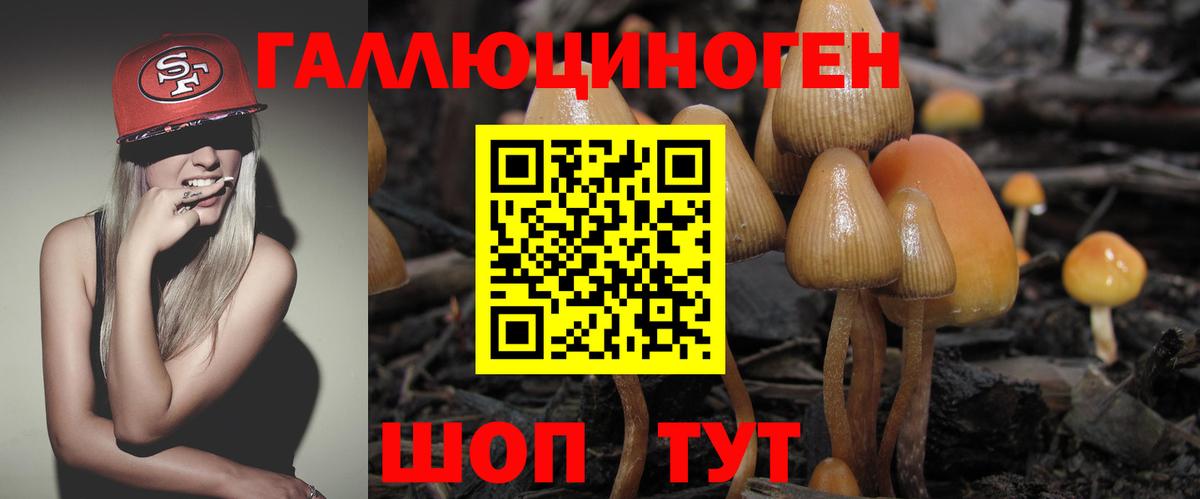 Добрянка  Псилоцибиновые грибы мухоморы  где купить наркотик  Вход с VPN 